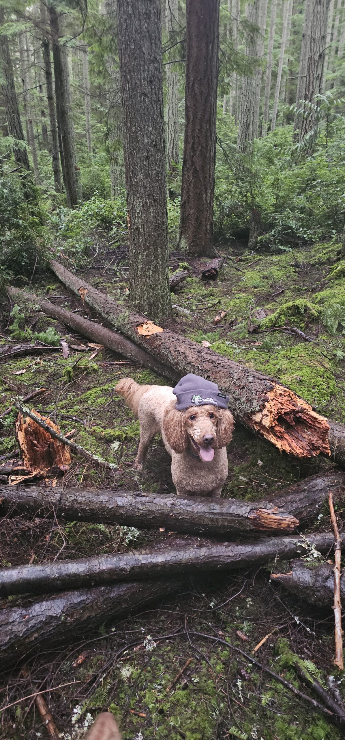 Photo of Theo
