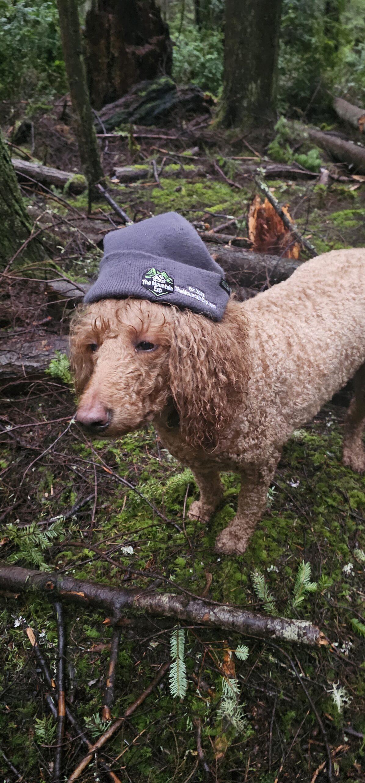 photo of Sasha wearing The Mountain Exp Beanie